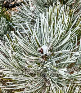 Como-adaptar-el-cuidado-de-la-piel-al-invierno